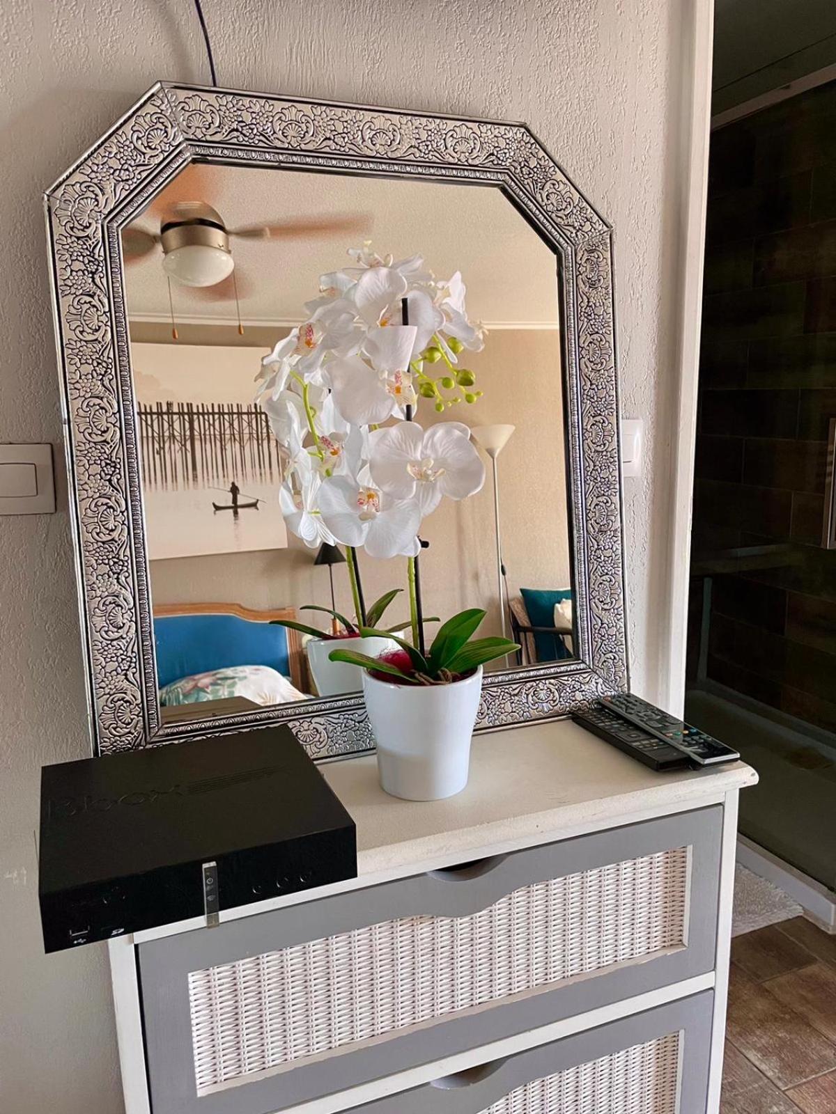 Luxurious Studio In Nice 450 M Of The Sea Zewnętrze zdjęcie